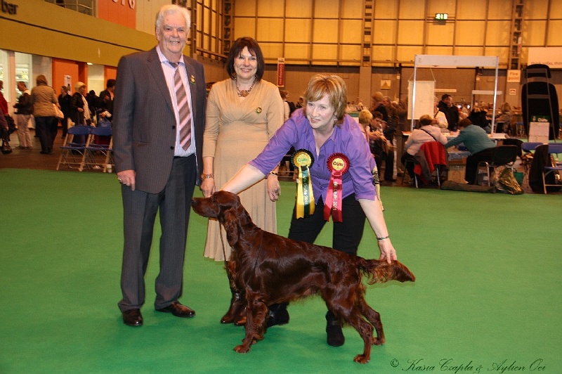 Crufts2011_2 203.jpg